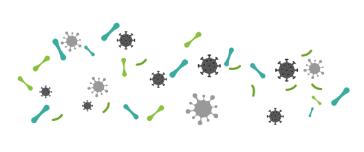 Bad Germs Before CLARAVITA